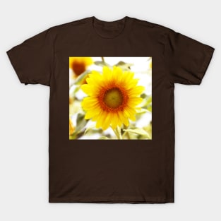 Bright Sun - Earth Day T-Shirt